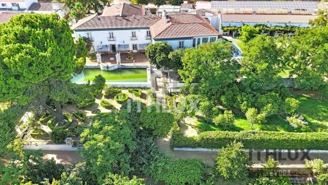 Quinta T30 para Venda em São Bras e São Lourenço