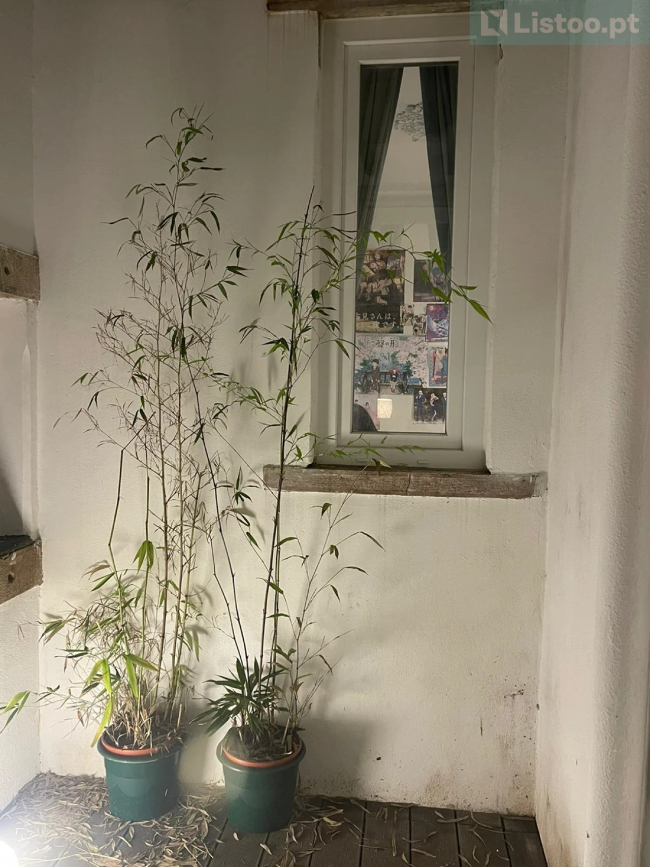 Apartamento T2 para Venda em Santo António Foto 27