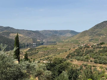 Quinta T3 para Venda em Seixo de Ansiães