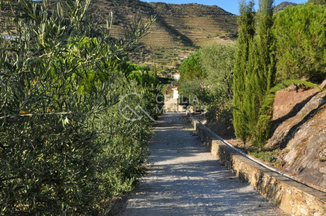 Quinta T3 para Venda em Seixo de Ansiães Foto 15