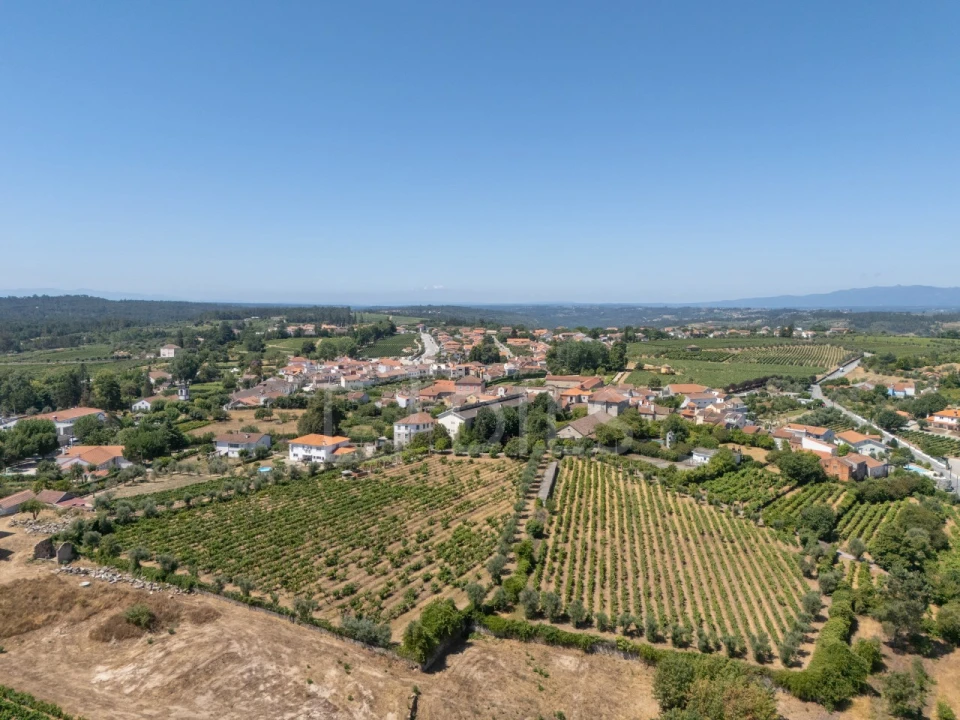 Quinta T14 para Venda em Santar e Moreira Foto 10