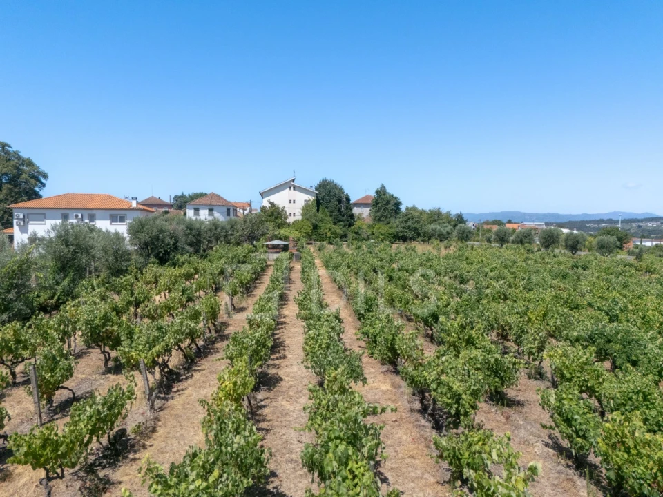 Quinta T14 para Venda em Santar e Moreira Foto 11