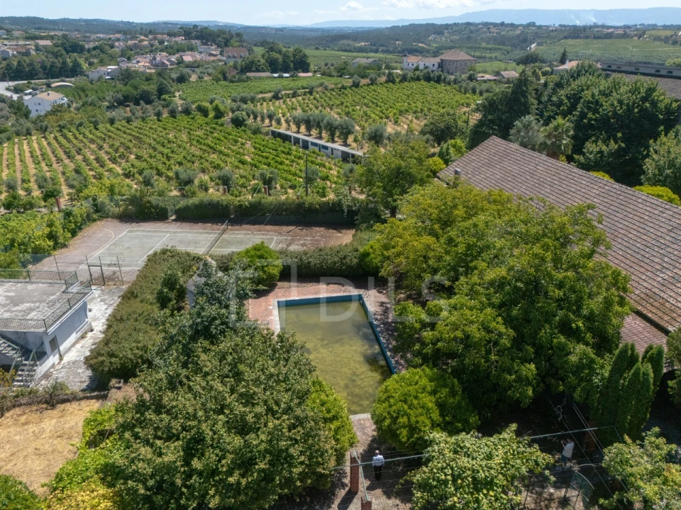Quinta T14 para Venda em Santar e Moreira Foto 13