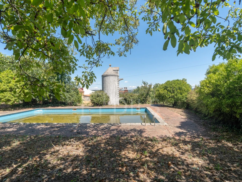 Quinta T14 para Venda em Santar e Moreira Foto 14