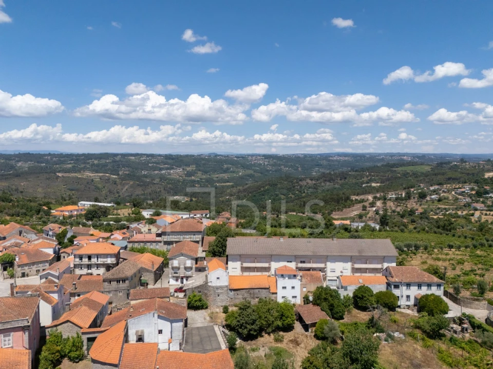 Quinta T14 para Venda em Santar e Moreira Foto 34
