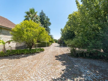 Quinta T14 para Venda em Santar e Moreira