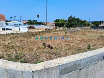 Terreno para Venda em Amor