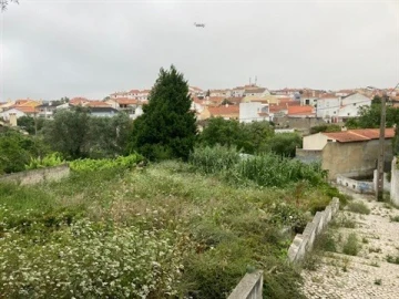 Terreno para Venda em Santa Maria e São Miguel, São Martinho, São Pedro Penaferrim