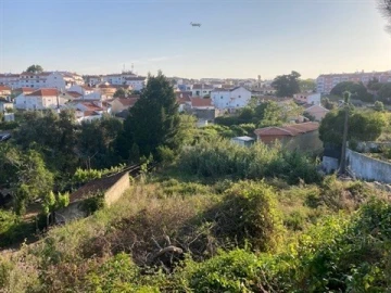 Terreno para Venda em Santa Maria e São Miguel, São Martinho, São Pedro Penaferrim