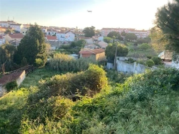 Terreno para Venda em Santa Maria e São Miguel, São Martinho, São Pedro Penaferrim