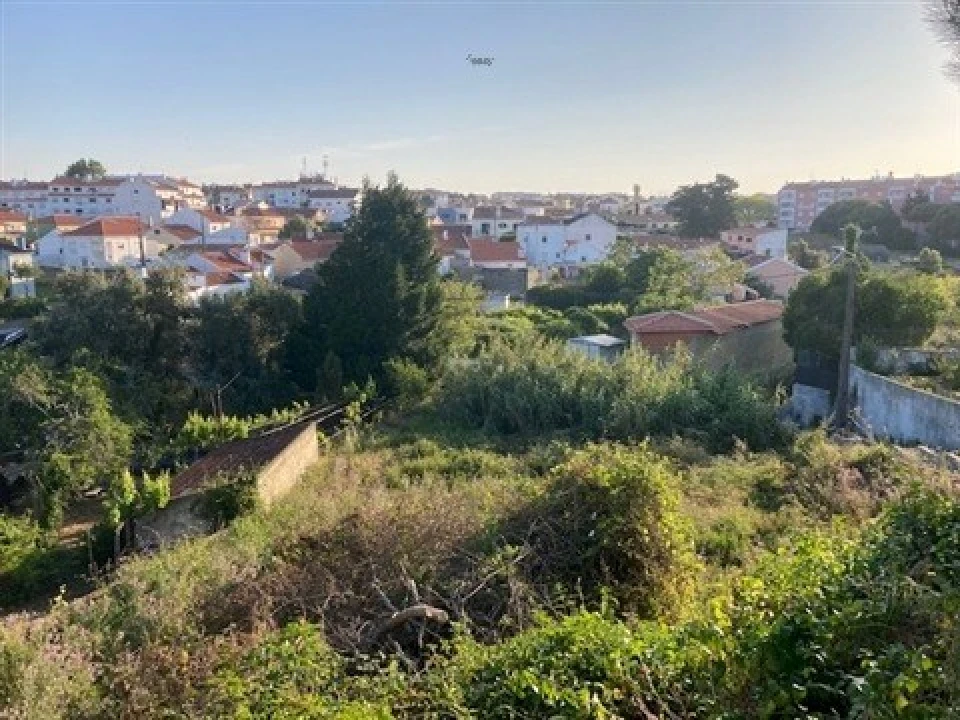 Terreno para Venda em Santa Maria e São Miguel, São Martinho, São Pedro Penaferrim Foto 9