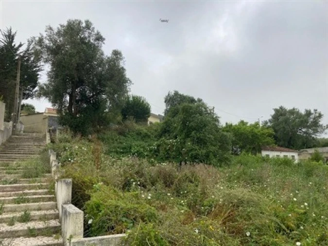 Terreno para Venda em Santa Maria e São Miguel, São Martinho, São Pedro Penaferrim Foto 10