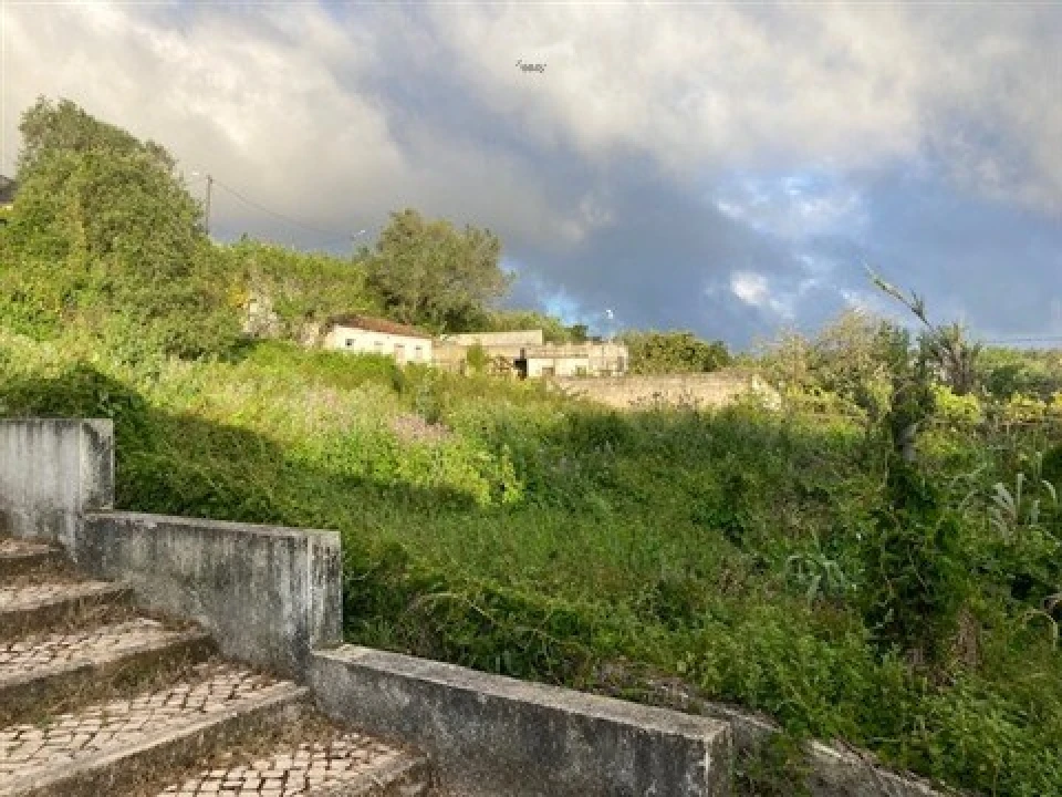 Terreno para Venda em Santa Maria e São Miguel, São Martinho, São Pedro Penaferrim Foto 8