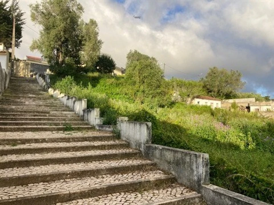 Terreno para Venda em Santa Maria e São Miguel, São Martinho, São Pedro Penaferrim Foto 7