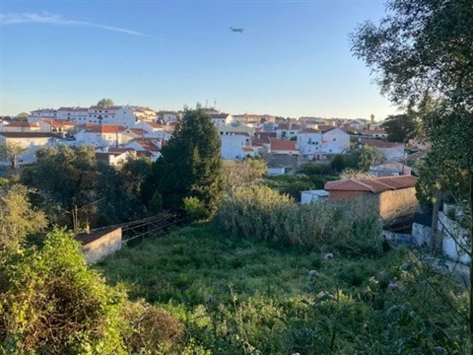 Terreno para Venda em Santa Maria e São Miguel, São Martinho, São Pedro Penaferrim Foto 6