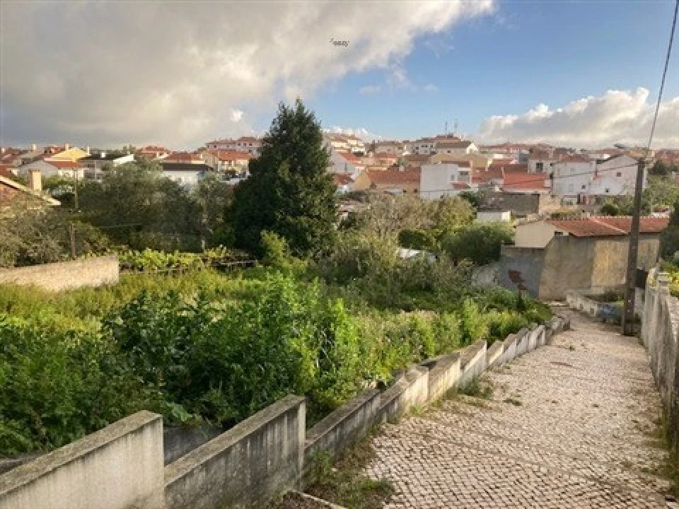 Terreno para Venda em Santa Maria e São Miguel, São Martinho, São Pedro Penaferrim Foto 5