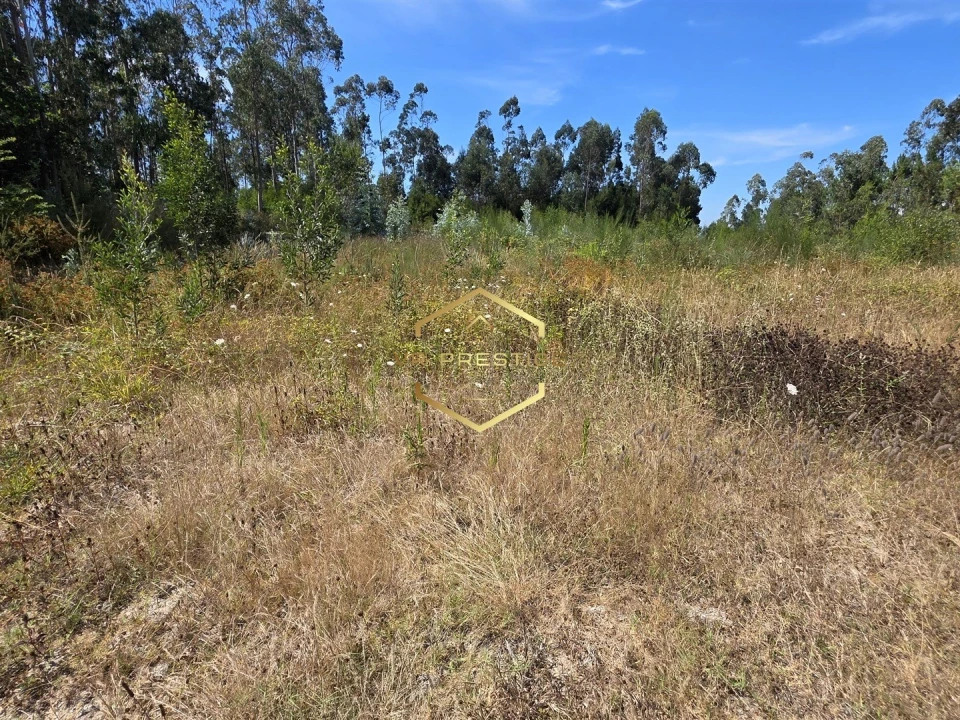 Terreno para Venda em Retorta e Tougues Foto 3