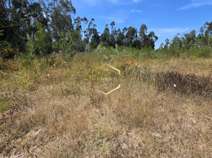 Terreno para Venda em Retorta e Tougues Foto 3