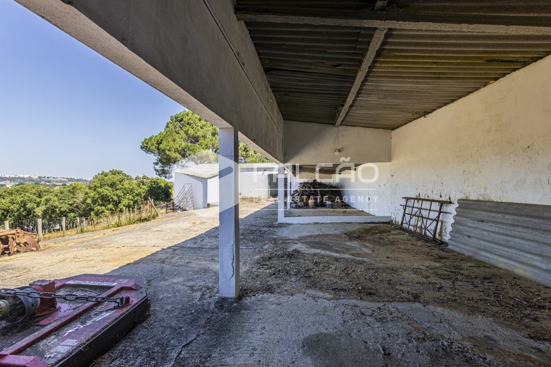 Quinta T5 para Venda em Povoa da Isenta Foto 90