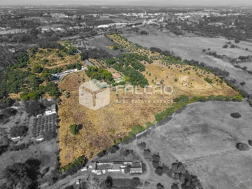 Quinta T5 para Venda em Povoa da Isenta