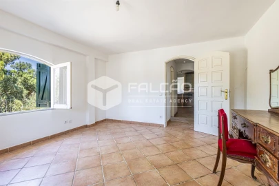 Quinta T5 para Venda em Povoa da Isenta