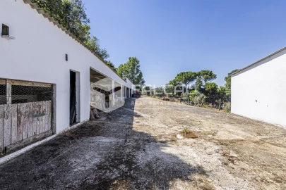 Quinta T5 para Venda em Povoa da Isenta