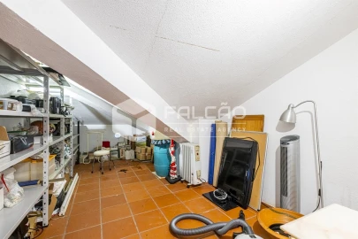 Quinta T5 para Venda em Povoa da Isenta
