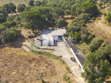 Quinta T5 para Venda em Povoa da Isenta