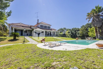 Quinta T5 para Venda em Povoa da Isenta
