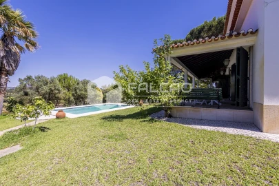 Quinta T5 para Venda em Povoa da Isenta