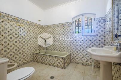 Quinta T5 para Venda em Povoa da Isenta