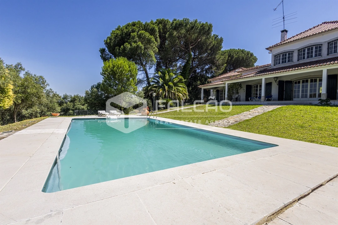 Quinta T5 para Venda em Povoa da Isenta Foto 122