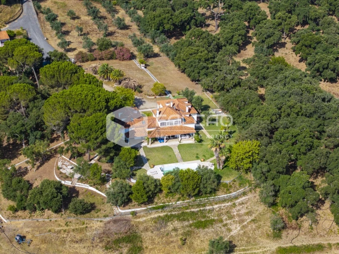Quinta T5 para Venda em Povoa da Isenta Foto 3