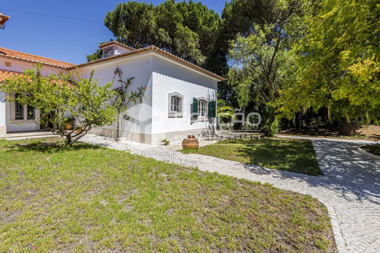 Quinta T5 para Venda em Povoa da Isenta Foto 17
