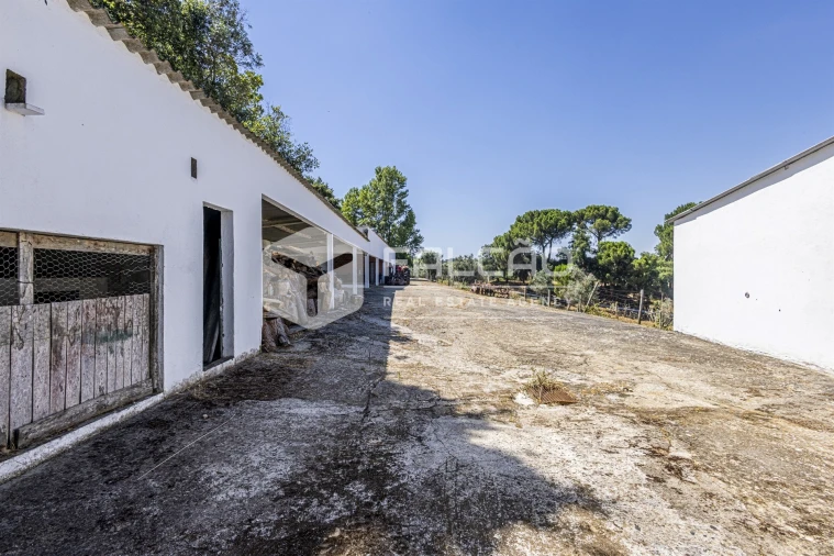 Quinta T5 para Venda em Povoa da Isenta Foto 88