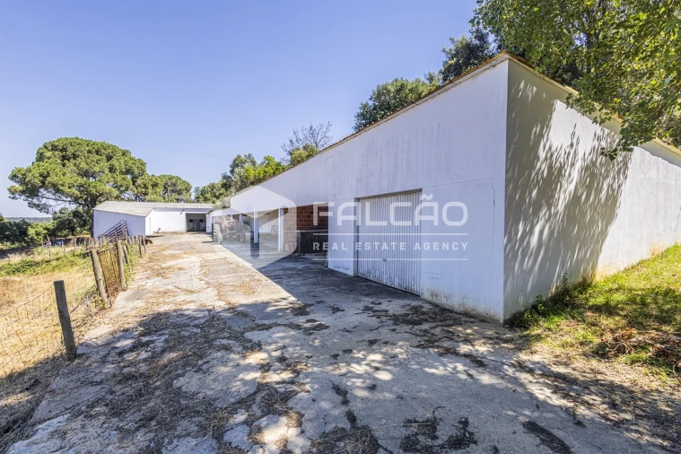 Quinta T5 para Venda em Povoa da Isenta Foto 104