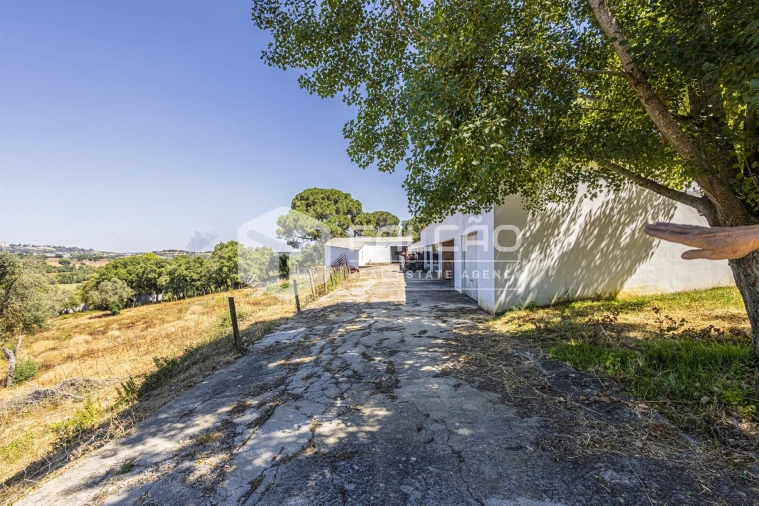 Quinta T5 para Venda em Povoa da Isenta Foto 115