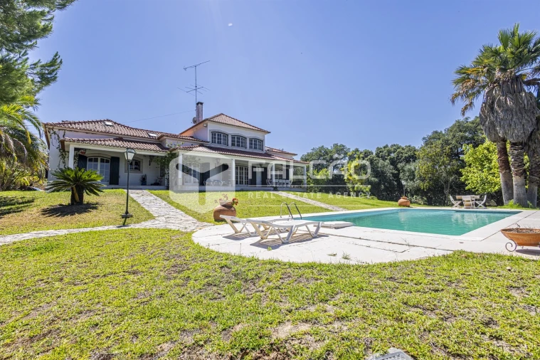 Quinta T5 para Venda em Povoa da Isenta Foto 120