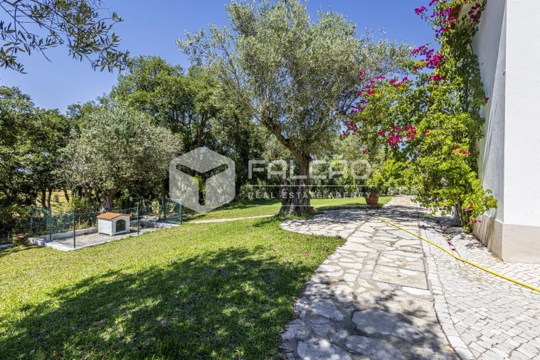 Quinta T5 para Venda em Povoa da Isenta Foto 12