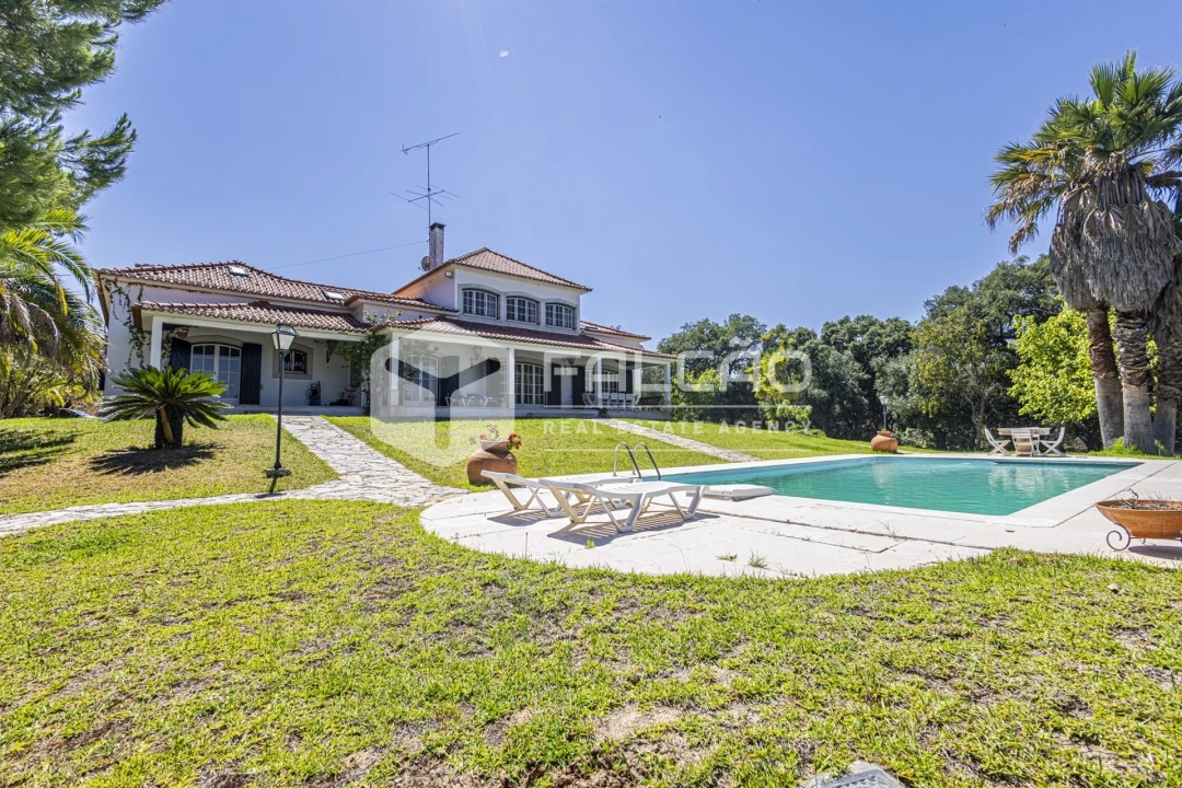 Quinta T5 para Venda em Povoa da Isenta Foto 120