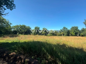 Terreno Agricola ou Rústico para Venda em Águas Santas e Moure