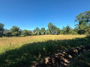 Terreno Agricola ou Rústico para Venda em Águas Santas e Moure
