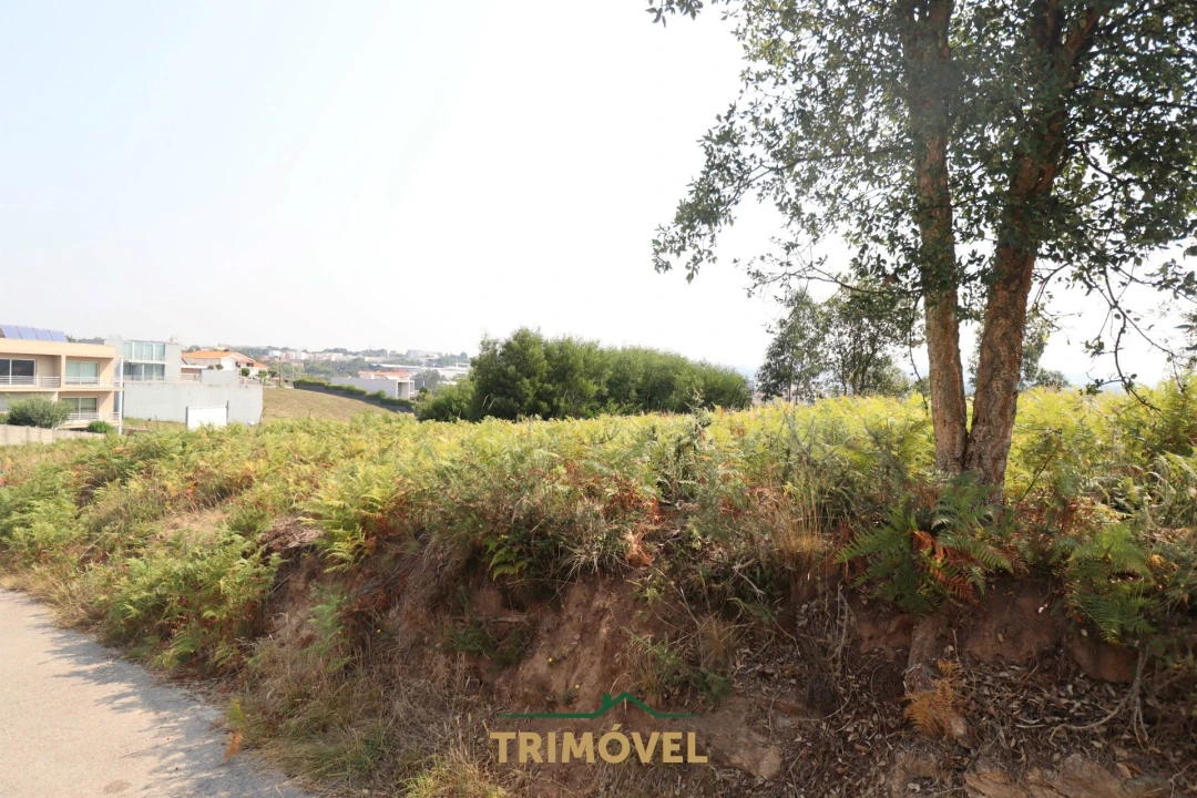 Terreno para Venda em Vila de Cucujães Foto 4