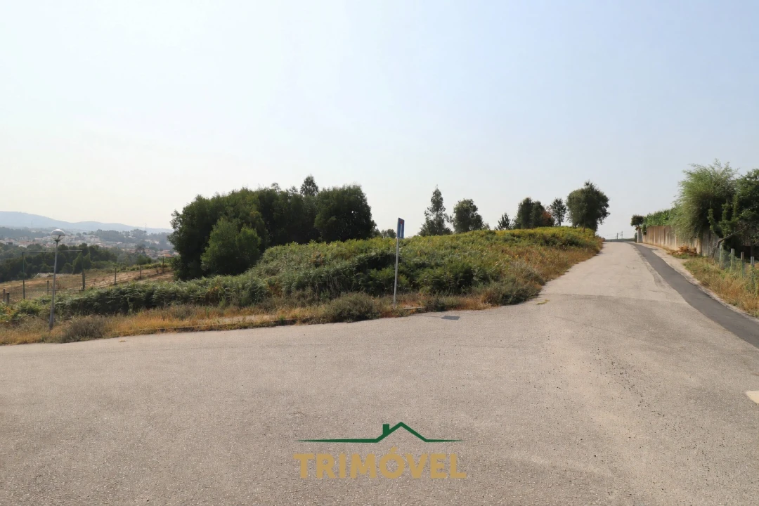 Terreno para Venda em Vila de Cucujães Foto 5