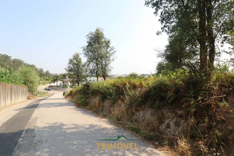 Terreno para Venda em Vila de Cucujães Foto 3