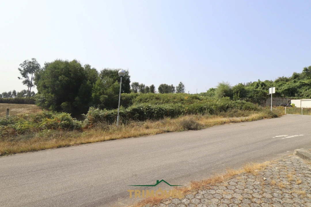 Terreno para Venda em Vila de Cucujães Foto 1