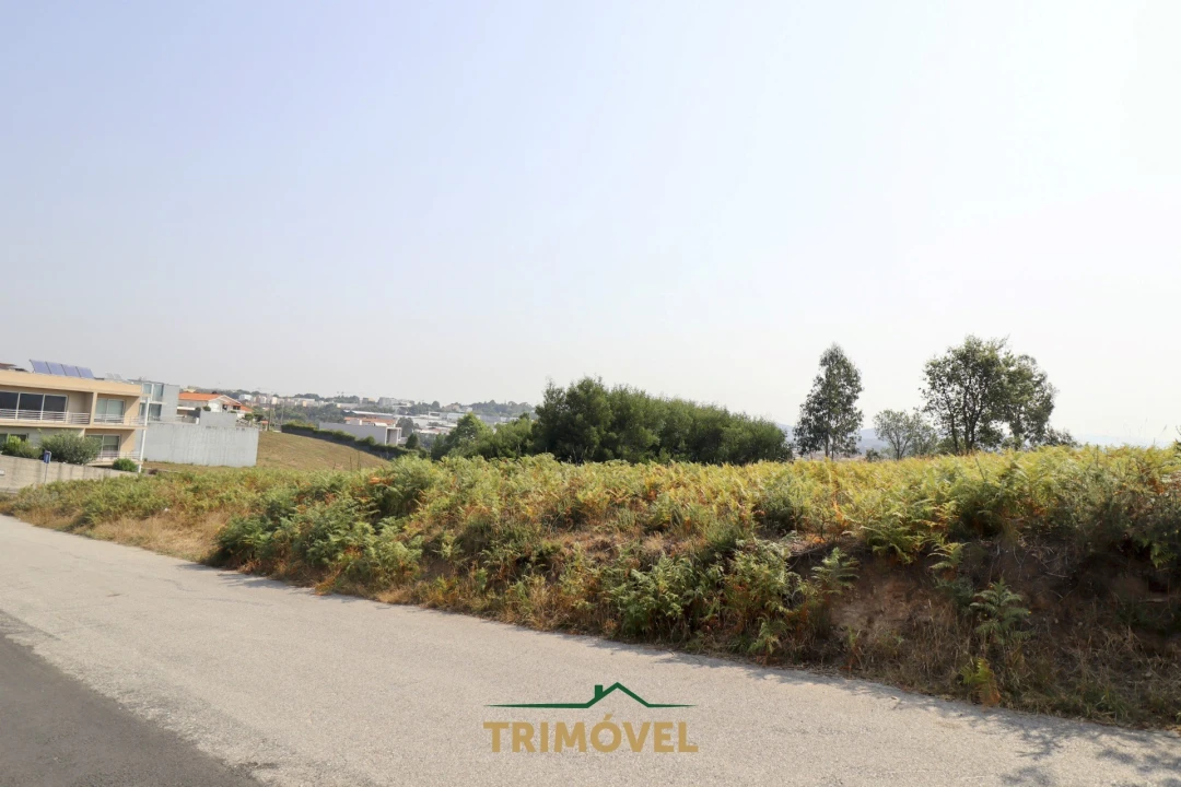 Terreno para Venda em Vila de Cucujães Foto 2