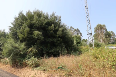 Terreno para Venda em Vila de Cucujães