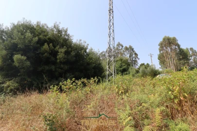 Terreno para Venda em Vila de Cucujães