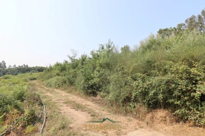 Terreno para Venda em Vila de Cucujães